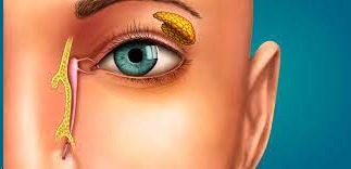 Cirurgia de Vias Lacrimais